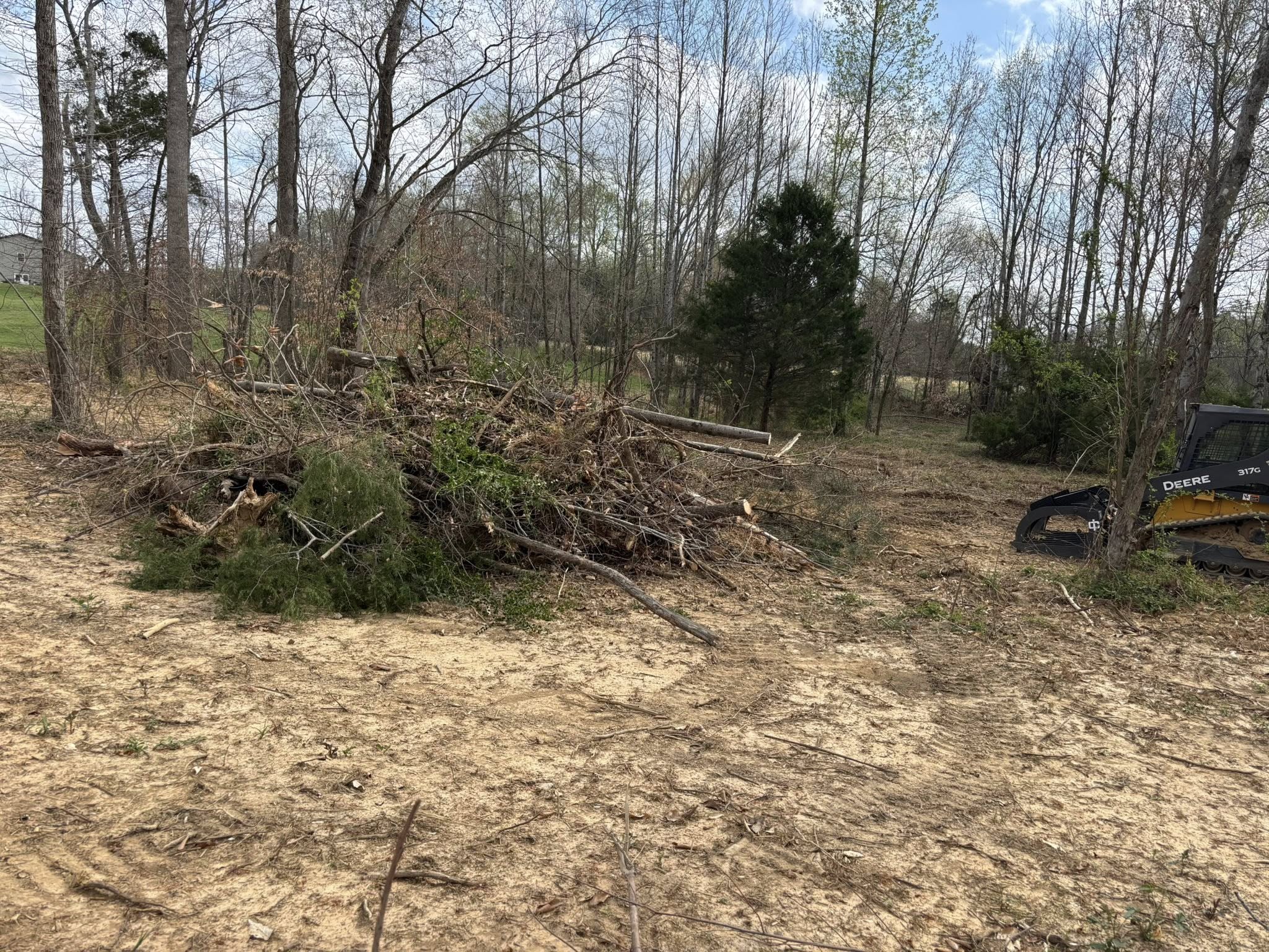 Land clearing project